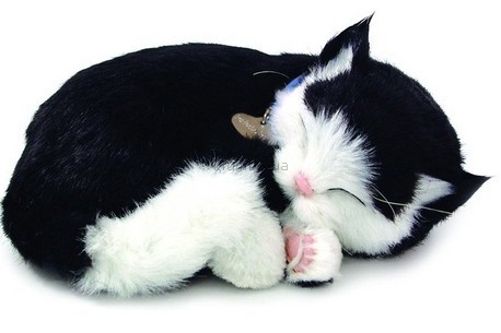 Детская игрушка Perfect Petzzz Чёрно-белый котёнок 