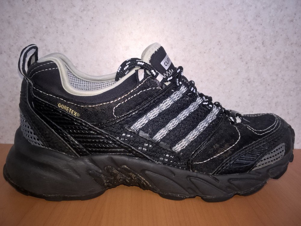 Tex кроссовки. Кроссовки adidas Wanaka 2 GTX. Adidas Climacool Gore-Tex. Gore Tex adidas кроссовки 2008. Адидас кеды с Gore Tex.