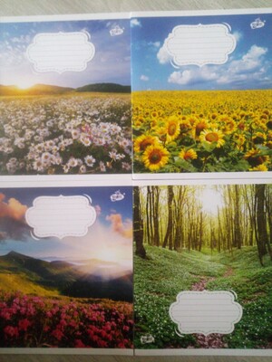 Зошит 7 шт на 12 аркушів у клітинку 2523 Просто природа